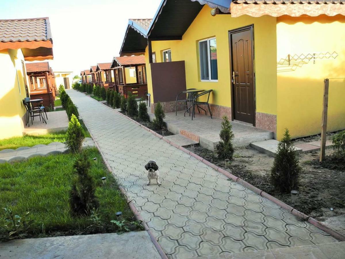 Cazare Balliu Corbu (Constanta) Exterior foto